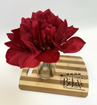 Amaryllis With Vase 