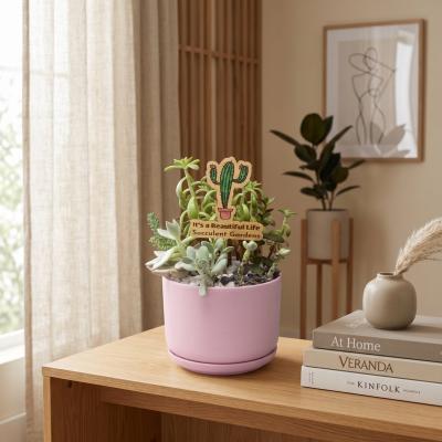It's a Beautiful Life Succulent Arrangement